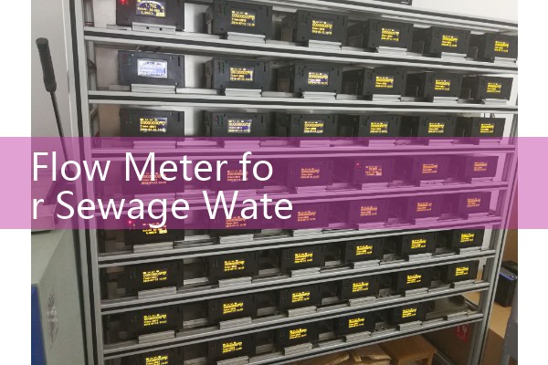 Flow Meter for Sewage Water Utilities: Selecting Liners for Harsh Solid Slurry Treatment
